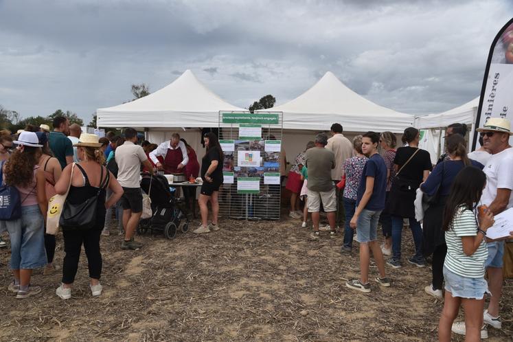 Au Festival de la terre de Seine-et-Marne, à Courpalay, dimanche 13 septembre 2026.