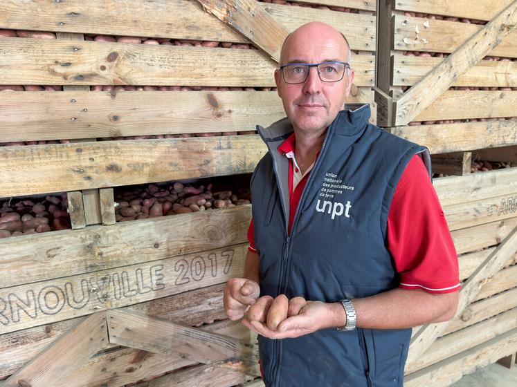 Jeudi 27 août, à Arnouville. Les pommes de terre de Grégoire Jaquemet et des autres producteurs beaucerons sont globalement plus petites que d'habitude.