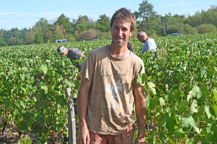 Vincent Tévenot, gérant du vignoble Tévenot, à Candé-sur-Beuvron, doit gérer des vendanges qui sont ultra-précoces cette année. Elles ont démarré le 12 août, du jamais-vu pour lui en dix-sept ans de carrière. 