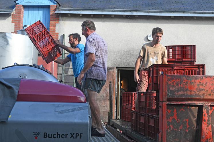 La période des vendanges est intense et oblige Daniel et Vincent Tévenot à être sur tous les fronts, des vignes jusqu'au chai, afin d'assurer le meilleur millésime possible.