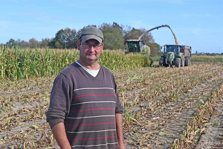 Fabrice Gaussant a cultivé 16 hectares de maïs ensilage cette année. Alors que les récoltes ont lieu avec deux semaines d'avance, il ne s'attend pas à de gros rendements à cause de la sécheresse et des dégâts de gibier. 