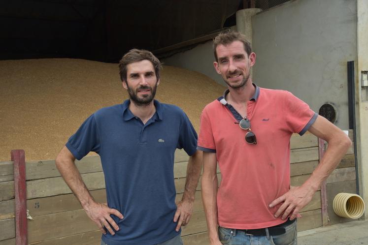 Marchémoret (Seine-et-Marne), jeudi 27 août. Gaëtan et Alexandre Belloy.