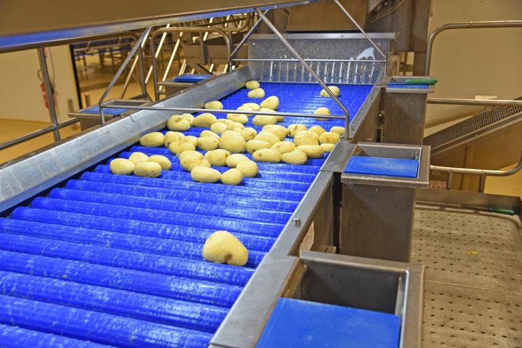 La SPL* Approv’halles publie trois nouveaux marchés de fruits et légumes pour approvisionner les cantines scolaires franciliennes. La chambre d’Agriculture peut accompagner les exploitants intéressés pour se porter candidat.