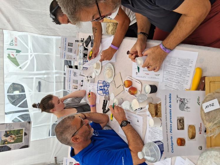 Courpalay, dimanche 13 septembre. Des jurés de tous horizons très concentrés sur les produits à noter. 