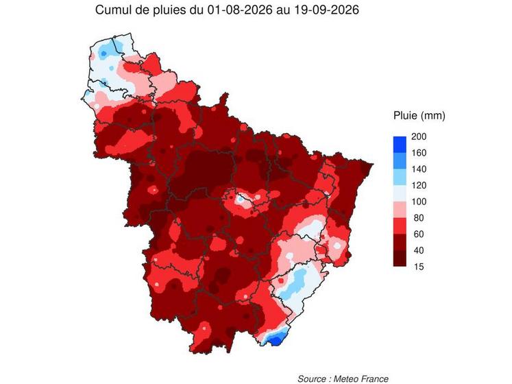 Tour d’horizon des situations au champ : carte de la pluviométrie zone nord-est de Terres Inovia à partir du 1er août.