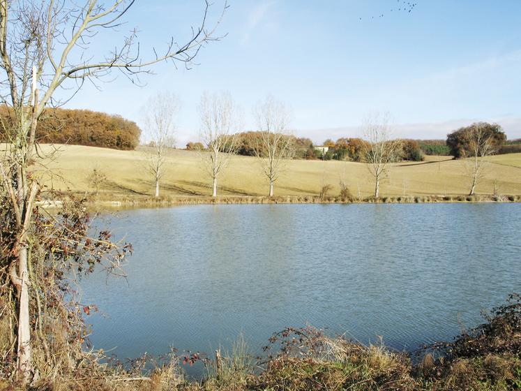 Une bonne gestion de l’eau consiste à stocker et drainer l’hiver pour pouvoir irriguer l’été. De plus, les retenues d’eau attirent faune et flore.