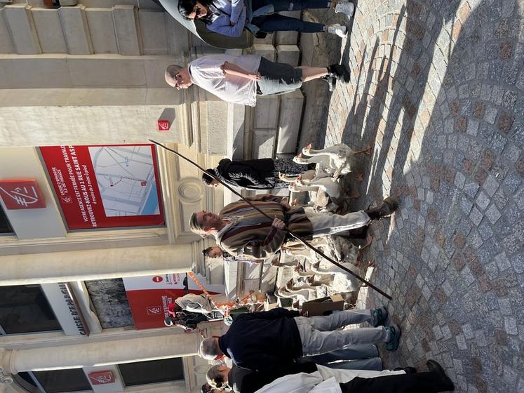 Un défilé insolite dans les rues de la ville-préfecture.