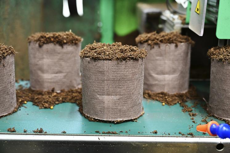 Les plants sont conditionnés dans des boudins en papier issu de forêts françaises.