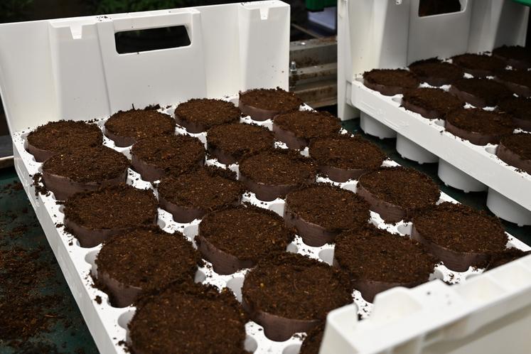 Les boudins en papier sont ensuite placés dans des caisses empilables et réutilisables pour faciliter leur transport et leur manipulation.