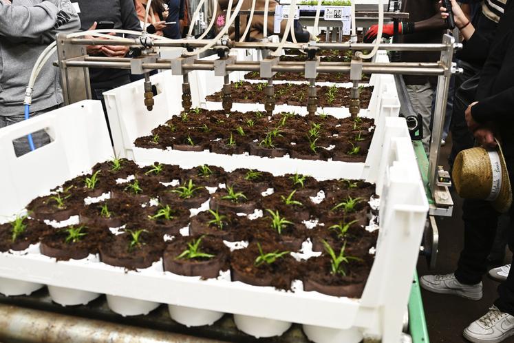 L'innovation Synfoplant permet d'éliminer 100 % des godets plastique, du semis jusqu'à la plantation.