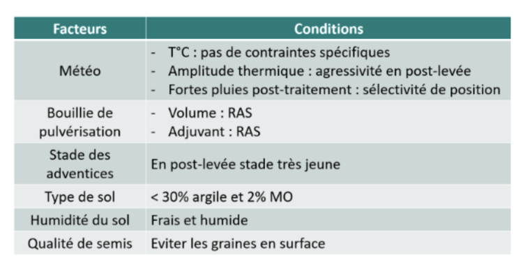 Les facteurs influençant l’efficacité et la sélectivité des herbicides racinaires.