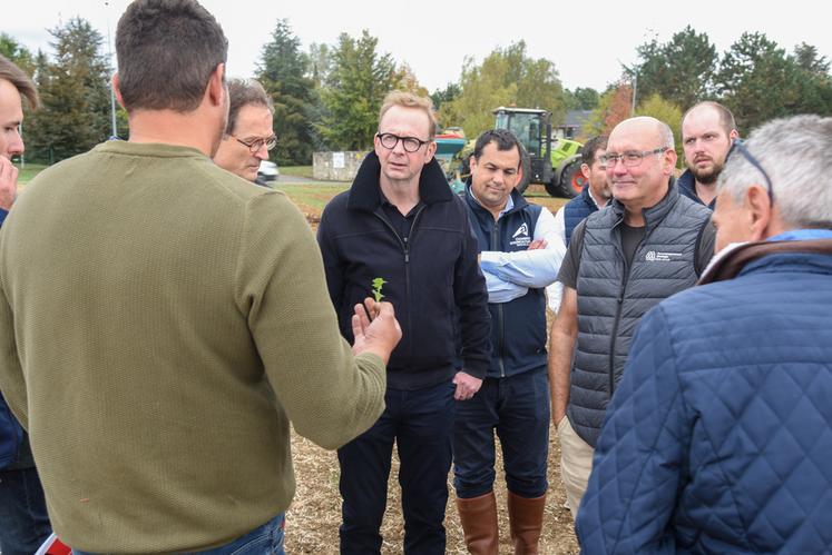 Sur une parcelle de colza de Bertrand Le Bris (à d.) à Gallardon, Xavier Pelletier est alerté sur les difficultés d'implantation du colza cette année.