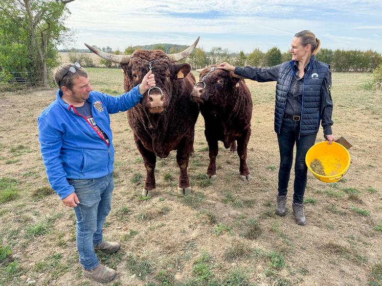 Jeudi 24 septembre, à Belhomert-Guéhouville. Laëtitia et Thierry Meret sont très fiers de leurs impressionnants taureaux salers, Thor et Aristide.