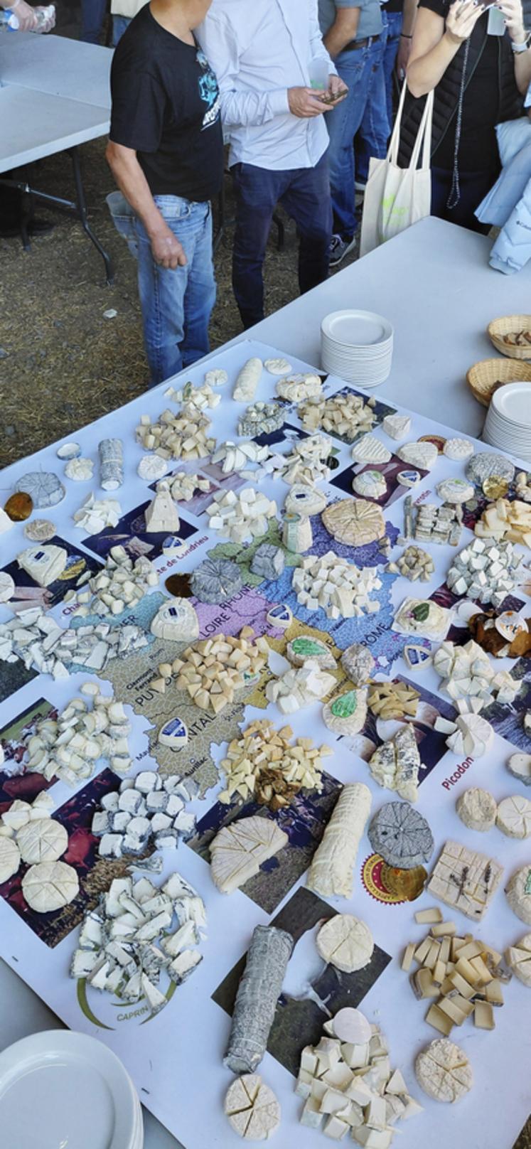 Le concours Fromagora, organisé par la Fnec, a réuni près de 340 échantillons de fromage. 130 jurés étaient présents pour évaluer leur qualité.