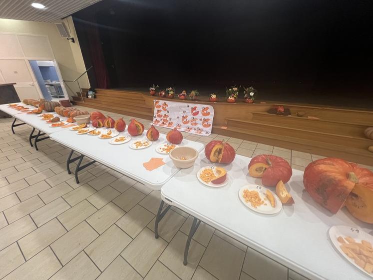 Les citrouilles étaient à l'honneur samedi 26 et dimanche 27 septembre à Millançay à l'occasion de la 45e édition de la Foire à la citrouille. 