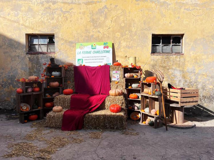 À Chailly-en-Bière, les cucurbitacées, légumes de saison, étaient en vitrine. Visite de l'exploitation agricole, dégustations, atelier cuisine, escape game numérique, Cluedo géant, concert, il y en avait pour tous les goûts et tous les âges. 