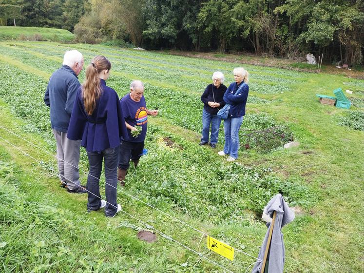 À Courances (Essonne), au Moulin du Ruisseau, les secrets du cresson étaient dévoilés.