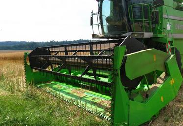 Une coupe à colza en pleine action. (Photo d’archives)