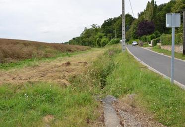 A Vauhallan (Essonne), le 3 juillet. Un projet de sentier piéton pourrait faire disparaitre la bande enherbée créé par Nathalie Trubuil le long du ru, grignotant encore davantage les terres agricoles du plateau.