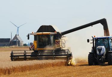 Le changement de classification des blés tendres entre dans le plan protéines de la filière.