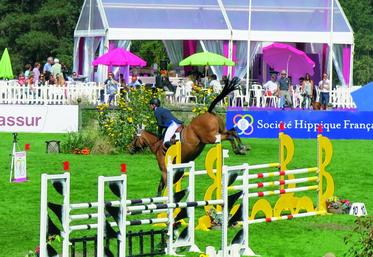 Durant la Grande Semaine de Fontainebleau, les cavaliers viennent présenter de jeunes chevaux qui doivent s’illustrer au saut d’obstacles (Crédit photo : V. Godement).
