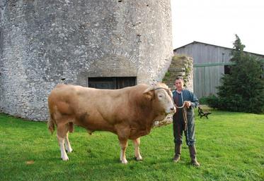 Échouboulains, mardi 21 octobre. Philippe Dufour pose avec un taureau qui fait sa fierté : Expert, né sur l’exploitation et pré-selectionné pour le concours général agricole. Sa passion pour la sélection, l’éleveur la fait partager aux visiteurs.