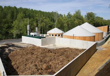 crédit photo : ©Société architecture Boitte-ZooParc de Beauval