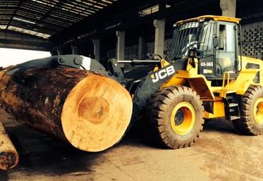 L’exportation de grumes de bois en Afrique constituerait un marché pour les pinces de Lamy.