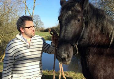 Le 12 mars, à Pas-Saint-Lhomer (Orne). Le vice-président du Syndicat des éleveurs percherons, Alain Heinry, a bien l’intention de mettre le cheval percheron au centre du prochain comice de La Loupe.