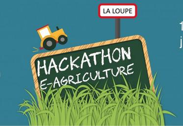 Le hackathon e-agriculture de La Loupe aura lieu du 12 au 14 juin, pendant le comice agricole.