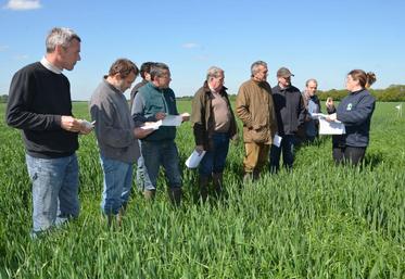 Organisée par le Cercle de Dourdan-Limours, la plate-forme sud aura lieu le 11 juin au Val-Saint-Germain (Essonne).