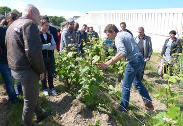 Le 26 mai, à Amboise (Indre-et-Loire). Une trentaine de personnes est venue découvrir les métiers viticoles.