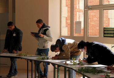 Paris, mercredi 20 mai. Le Jardin des plantes, héritier du jardin royal des plantes médicinales, a accueilli la centaine de jeunes qui participait à la finale régionale du concours de reconnaissance des végétaux.