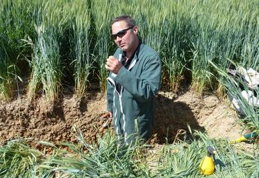 Le 27 mai, à Vallières-les-Grandes. Franck Baechler, conseiller à la chambre d’Agriculture 41, a présenté deux profils de sols, l’un en conventionnel et l’autre en semis direct.