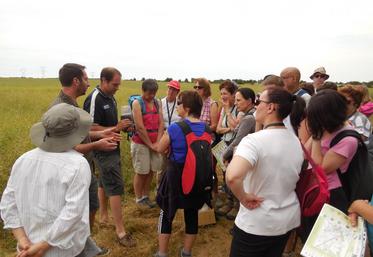 Égreville, dimanche 14 juin. Seconde étape de la Randogourmande, la présentation de l’agriculture locale.