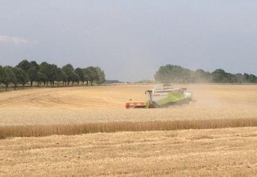 Alors que les récoltes d’orge d’hiver et de pois ont débuté dans certains secteurs, la moisson s’annonce difficile en raison du manque d’eau et des fortes températures.