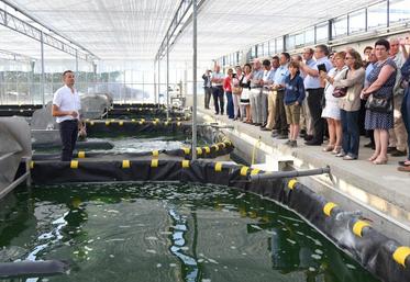 Le 9 juillet, au Gué-de-Longroi. Dominique Guérin (à d.) a expliqué les secrets de la production de la spiruline lors de l’inauguration de son site de production.