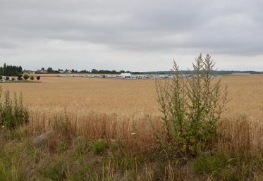 A Saint-Lubin-de-la-Haye (Eure-et-Loir), le 17 juillet. La famille Le Guillous a subit l’occupation de gens du voyage dans une de ses parcelles d’herbage.