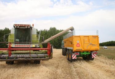 Le 16 juillet, à la Chaussée-Saint-Victor. Jeunes agriculteurs a moissonné la parcelle de « Semis solidaire ».