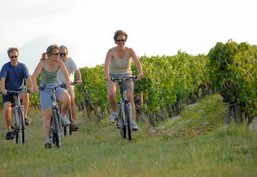 Un parcours de 30 km a été créé à travers les vignobles de l’AOC Touraine Mesland.