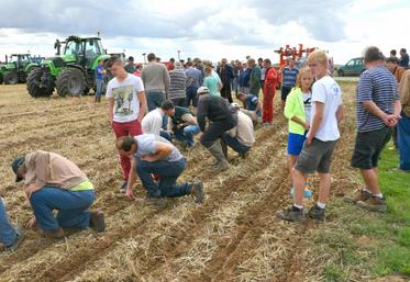 Le 1er septembre, à Pré-Saint-Évroult. La chambre d’Agriculture d’Eure-et-Loir a organisé un essais dynamique de huit strip-tiller différents.