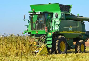 Le 9 octobre, à Serville. La moissonneuse-batteuse modifiée des établissements Kulchy permet de récolter le chanvre en une seule passe.