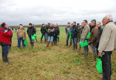 Boisdon, vendredi 6 novembre. L’après-midi sur les couverts végatux en interculture se déroulait dans le cadre de Ecophyto communication.
