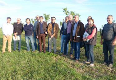 Le 12 novembre, à Maves. Une vingtaine d’agriculteurs de Loir-et-Cher a constitué l’unique filière noix de la région Centre Val-de-Loire.