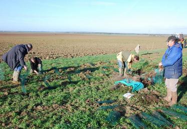 Rumont, jeudi 26 novembre. Chasseurs et agriculeurs, en présence du maire, Patrick  Prud’homme, ont implanté deux linéaires de 500 m sur le territoire communal.