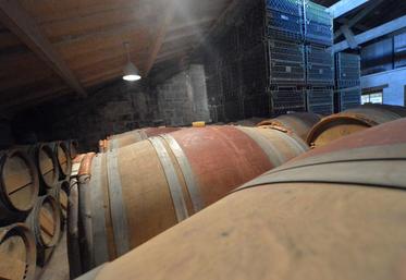 Crédits photo : Patrick Cronenberger-Réussir.
Les vins naturels peuvent être vinifiés dans des fûts en bois ou en cuves.