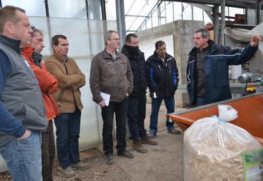 La Queue-lez-Yvelines, le 14 janvier. Les horticulteurs-pépiniéristes ont assisté à une démonstration de mécanisation de paillage hors sol.