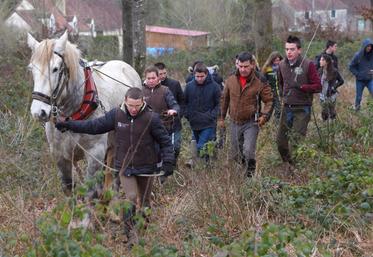 Le 18 janvier aux Étilleux. La démonstration est faite, par l’équipe du lycée de Nermont de Châteaudun, que le cheval est très efficace pour sortir le bois de la forêt.