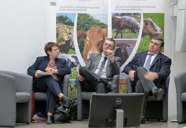 Le 2 février, à Blois. Le GDS 41 a tenu son assemblée générale et a fait un point sur la tuberculose bovine.