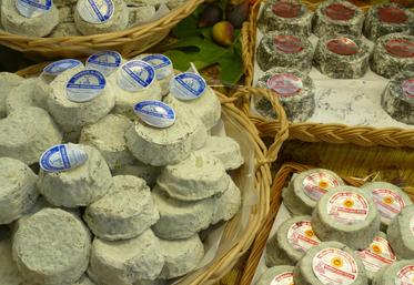 Le fromage de chèvre sera le thème de la journée du Loir-et-Cher sur le stand de la région au Salon de l’agriculture.